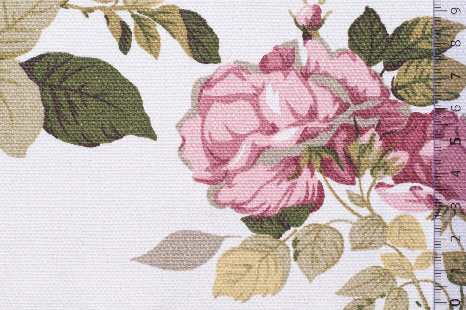 12KABMEGTRI000WHIxxxCOT[CABOT BIG ROSE] (WHITE)F